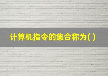 计算机指令的集合称为( )